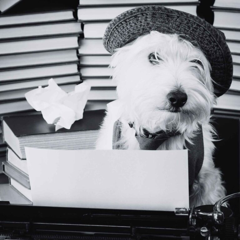 Quality Management System Implementation is SO EASY&hellip;.